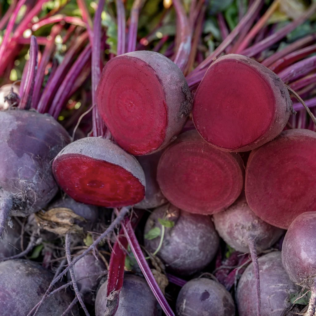 СВЁКЛА (потребительская/листовая)